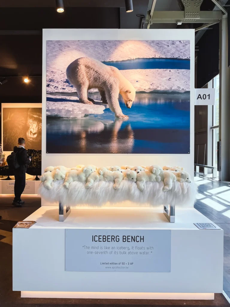 Bild eines Bild von einen Eisbären