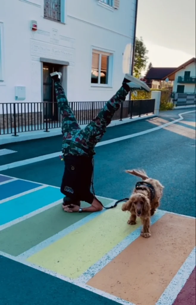 Eine Personen die einen Kopfstand macht auf einen bunten Zebrastreifen und daneben ein Hund