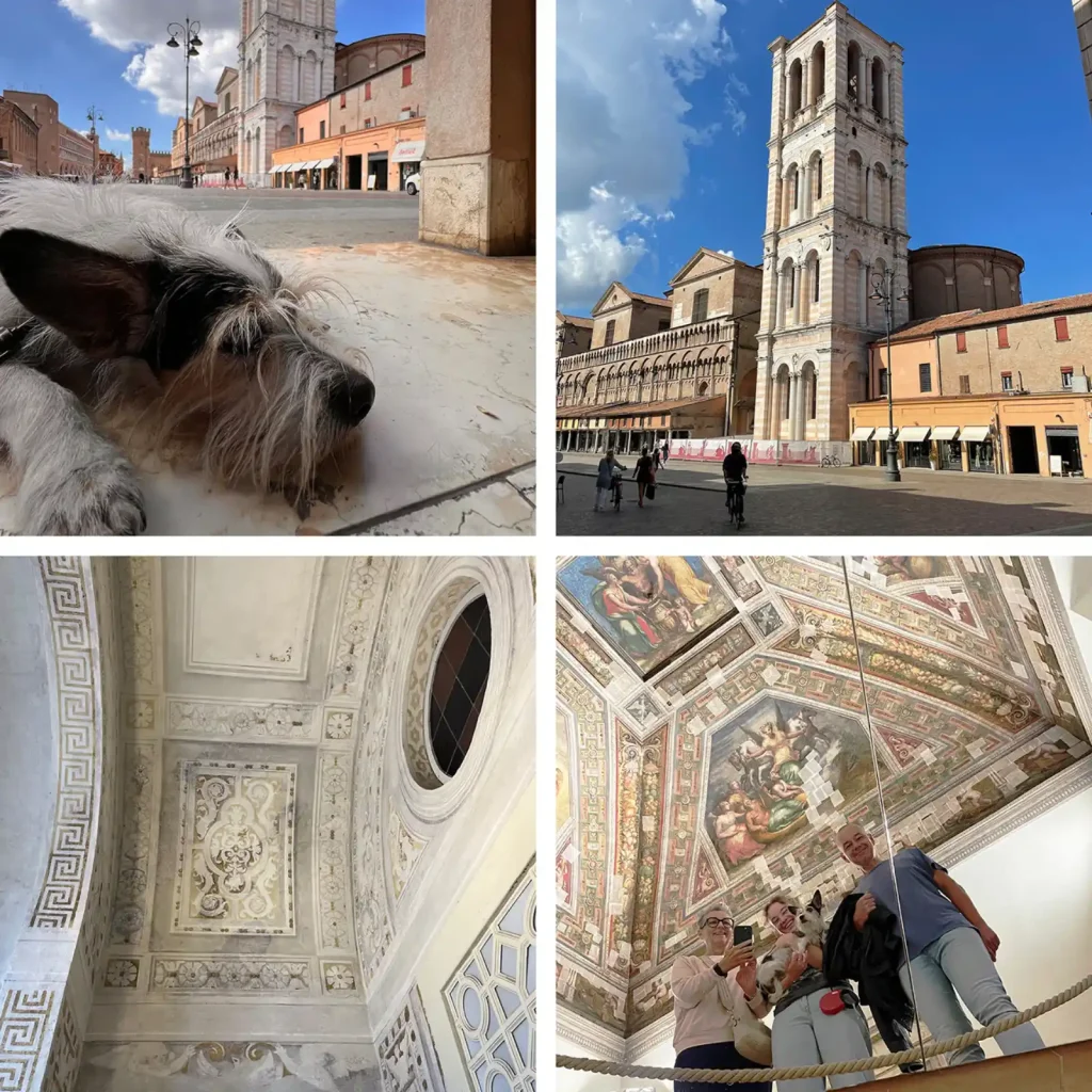 Collage aus vier Bildern von Gebäuden innen und außen und einen Hund